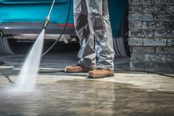 Best Parking Lot Cleaning in Shenandoah, VA